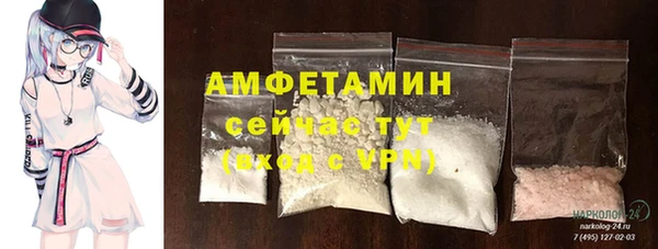 гашик Белокуриха