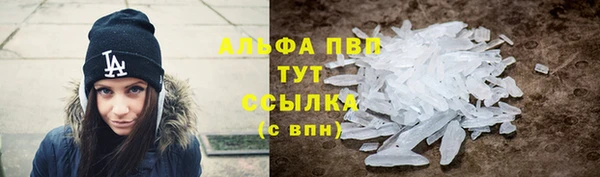 гашик Белокуриха