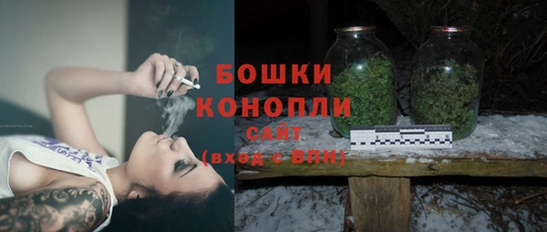 гашик Белокуриха