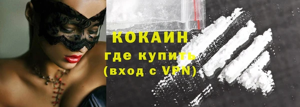 гашик Белокуриха